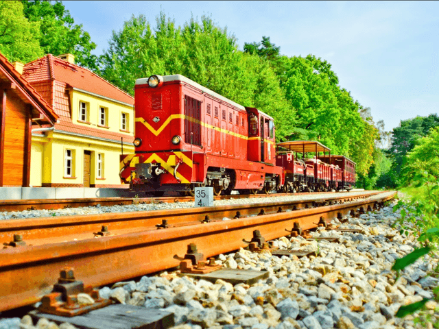 Kolonie letnie w Pogorzelicy 2025